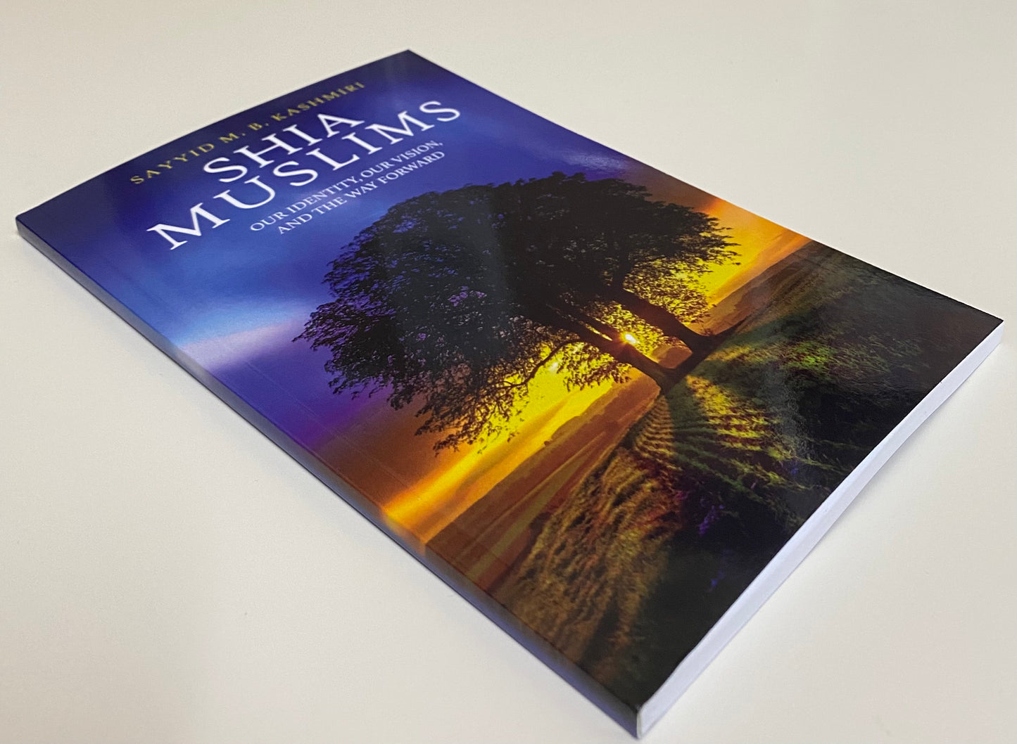 Shia Muslims: Our Identity, Our Vision, And The Way Forward