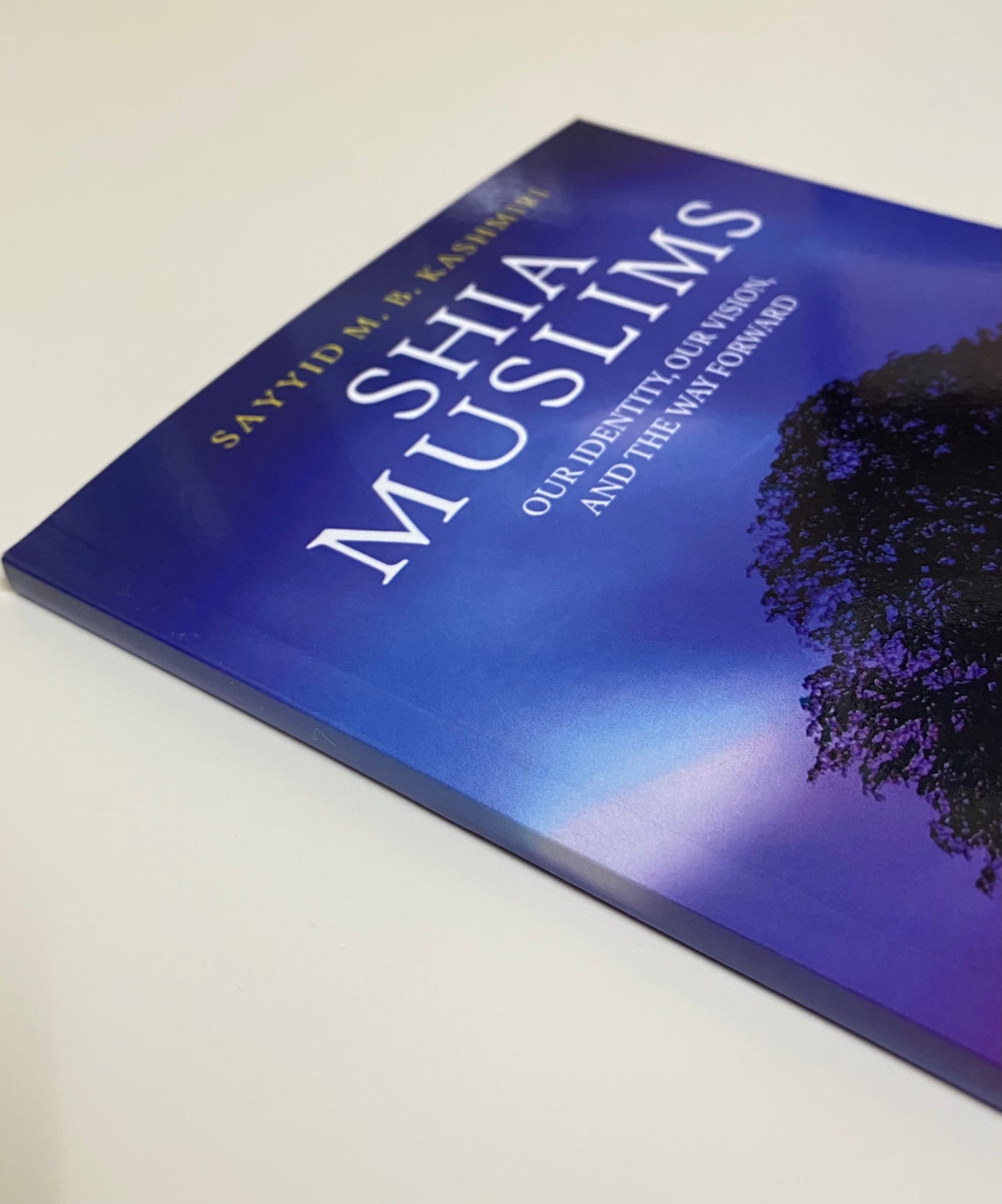 Shia Muslims: Our Identity, Our Vision, And The Way Forward