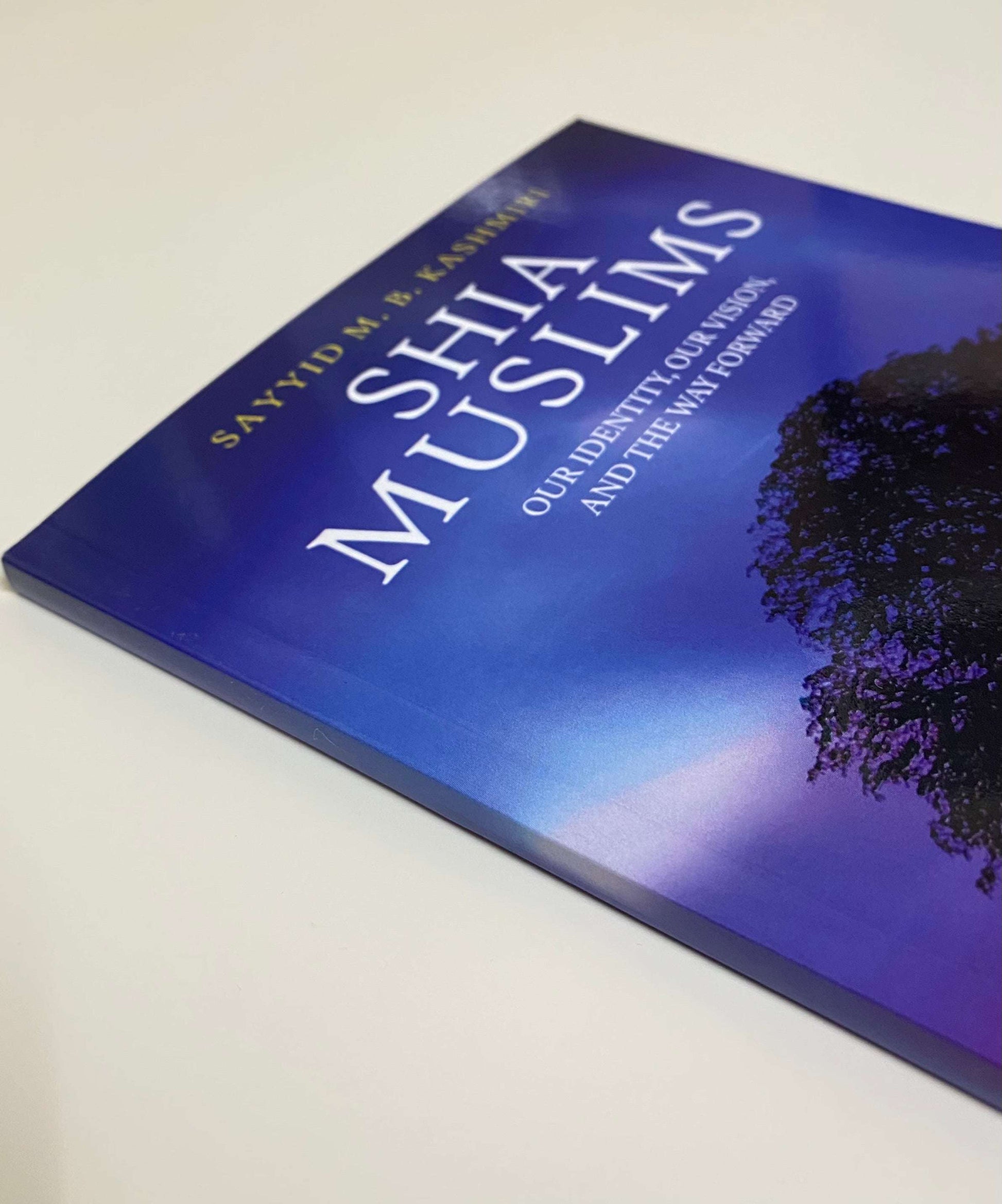 Shia Muslims: Our Identity, Our Vision, And The Way Forward