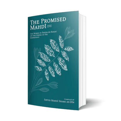 The Promised Mahdī (aj): The Words of Āyatullāh Bahjat on the Spring of His Emergence - House of Taha