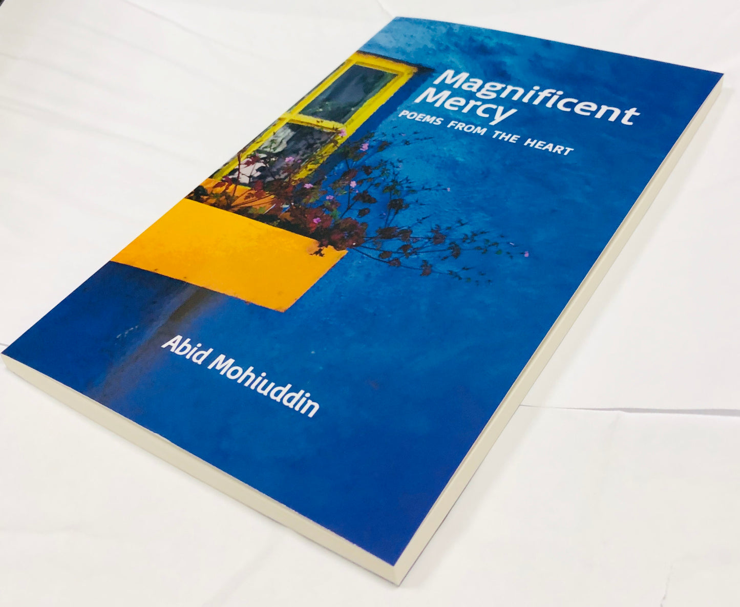 Magnificent Mercy